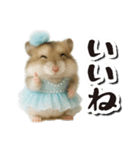 アイドルはむちゃんの日常フレーズ（個別スタンプ：11）