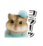 アイドルはむちゃんの日常フレーズ（個別スタンプ：14）