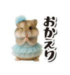 アイドルはむちゃんの日常フレーズ（個別スタンプ：16）