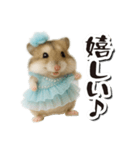 アイドルはむちゃんの日常フレーズ（個別スタンプ：23）