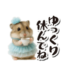 アイドルはむちゃんの日常フレーズ（個別スタンプ：30）