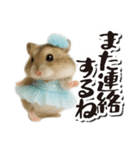 アイドルはむちゃんの日常フレーズ（個別スタンプ：31）