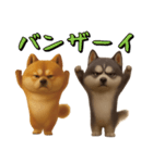犬のおスタンプ（個別スタンプ：5）