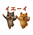 犬のおスタンプ（個別スタンプ：18）