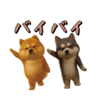 犬のおスタンプ（個別スタンプ：24）