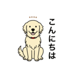 名前入りゴールデンクリーム（個別スタンプ：1）