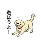 名前入りゴールデンクリーム（個別スタンプ：2）