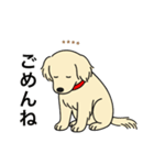 名前入りゴールデンクリーム（個別スタンプ：3）