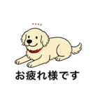 名前入りゴールデンクリーム（個別スタンプ：4）