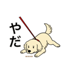 名前入りゴールデンクリーム（個別スタンプ：8）