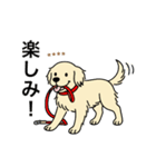 名前入りゴールデンクリーム（個別スタンプ：9）