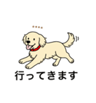 名前入りゴールデンクリーム（個別スタンプ：10）