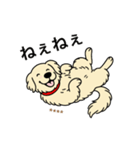 名前入りゴールデンクリーム（個別スタンプ：11）