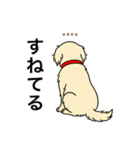 名前入りゴールデンクリーム（個別スタンプ：12）