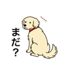 名前入りゴールデンクリーム（個別スタンプ：13）