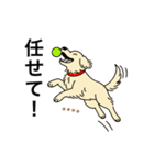 名前入りゴールデンクリーム（個別スタンプ：14）