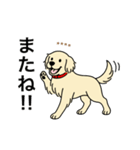 名前入りゴールデンクリーム（個別スタンプ：15）