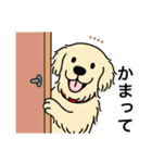 名前入りゴールデンクリーム（個別スタンプ：17）