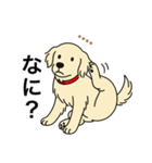 名前入りゴールデンクリーム（個別スタンプ：18）