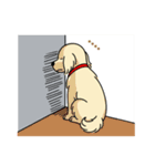 名前入りゴールデンクリーム（個別スタンプ：20）