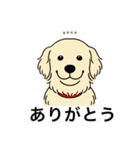 名前入りゴールデンクリーム（個別スタンプ：22）