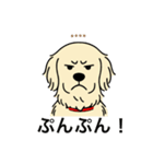 名前入りゴールデンクリーム（個別スタンプ：23）