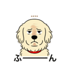 名前入りゴールデンクリーム（個別スタンプ：24）