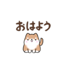 【動く】まるまる豆柴の挨拶・喜びスタンプ（個別スタンプ：1）