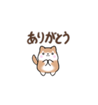 【動く】まるまる豆柴の挨拶・喜びスタンプ（個別スタンプ：5）