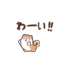 【動く】まるまる豆柴の挨拶・喜びスタンプ（個別スタンプ：6）