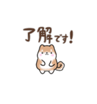 【動く】まるまる豆柴の挨拶・喜びスタンプ（個別スタンプ：11）