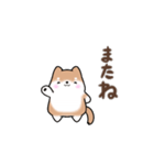 【動く】まるまる豆柴の挨拶・喜びスタンプ（個別スタンプ：13）