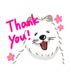 いやしの日常 サモエド編（個別スタンプ：3）