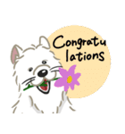 いやしの日常 サモエド編（個別スタンプ：7）