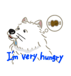 いやしの日常 サモエド編（個別スタンプ：8）