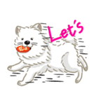 いやしの日常 サモエド編（個別スタンプ：10）