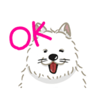 いやしの日常 サモエド編（個別スタンプ：11）