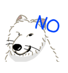 いやしの日常 サモエド編（個別スタンプ：12）