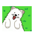 いやしの日常 サモエド編（個別スタンプ：16）