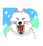 いやしの日常 サモエド編（個別スタンプ：17）