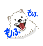 いやしの日常 サモエド編（個別スタンプ：19）