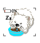 いやしの日常 サモエド編（個別スタンプ：21）