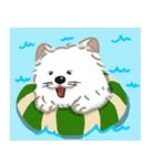 いやしの日常 サモエド編（個別スタンプ：23）