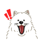 いやしの日常 サモエド編（個別スタンプ：26）