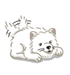 いやしの日常 サモエド編（個別スタンプ：33）