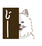 いやしの日常 サモエド編（個別スタンプ：36）