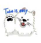 いやしの日常 サモエド編（個別スタンプ：37）