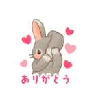 いやしの日常 うさぎ編2（個別スタンプ：8）