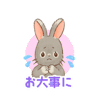 いやしの日常 うさぎ編2（個別スタンプ：14）