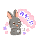 いやしの日常 うさぎ編2（個別スタンプ：38）